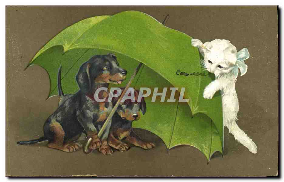 Deux chiots sous un parapluie vert — chaton blanc avec ruban — éditeur Carré