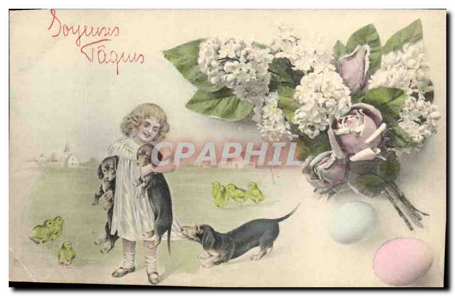CPA Chien Chiens Basset Enfant