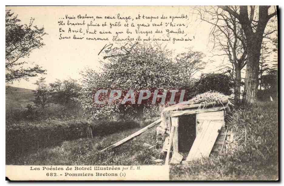 CPA Folklore Les poesies de Botrel Pommiers bretons 