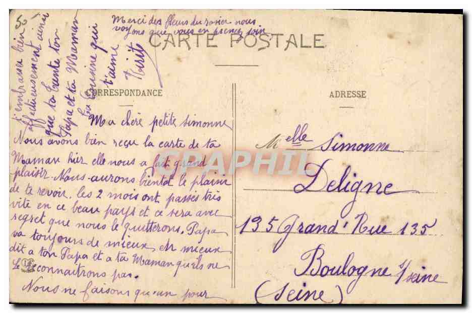 Chiots des Pyrénées — Une portée de 8 jours — Phototypie Larouche Frères, Toulouse, n° 1023 — Verso