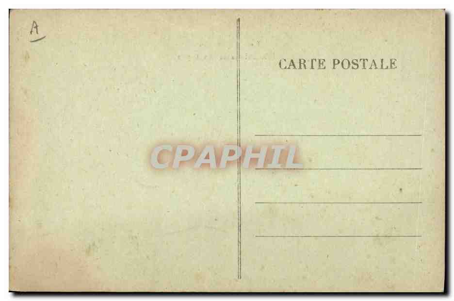 CPA Chien Chiens de montagnes Pyrenees  — Verso