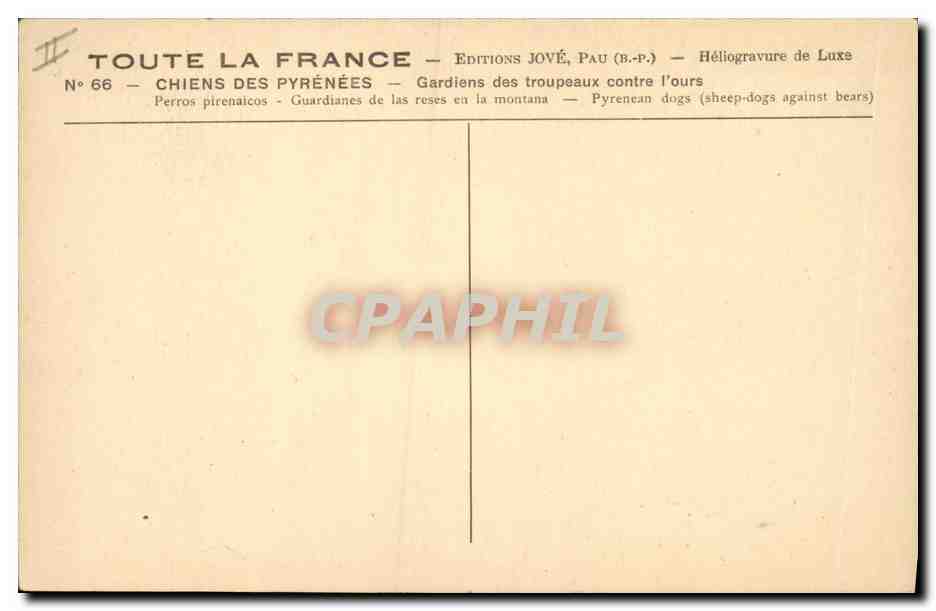 Deux chiens des Pyrénées — Éditions Jové, Pau — N° 66 — Verso
