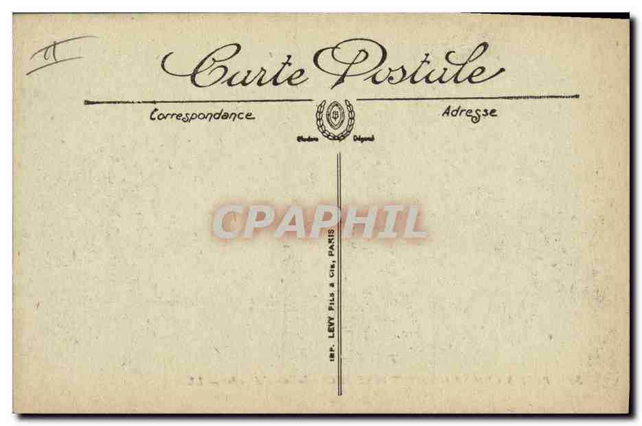 Petits chiens de montagne — du Chenil-Club d'Argelès — LL. — n° 52 — Verso