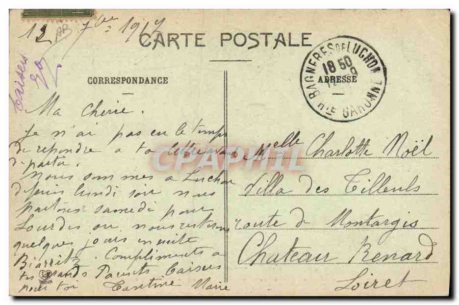 CPA Chien Chiens Pyrenees Une interessante famille  — Verso