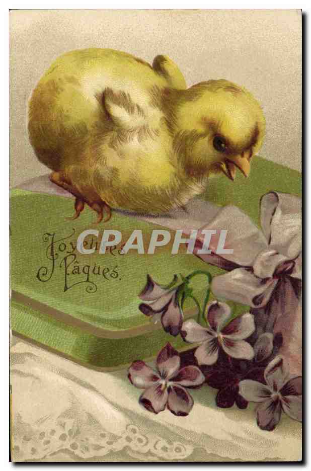 CPA Fantaisie Fleurs Poussin