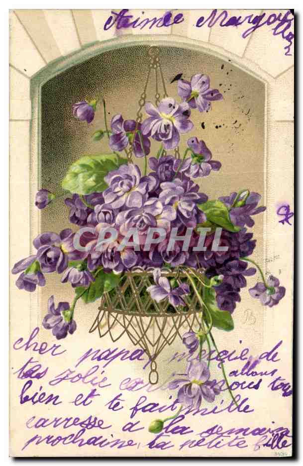 Violets en panier — carte postale — éditeur non identifié