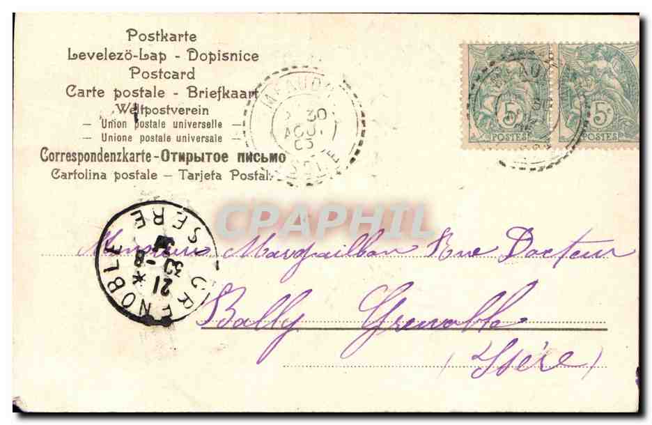 Violets en panier — carte postale — éditeur non identifié — Rückseite
