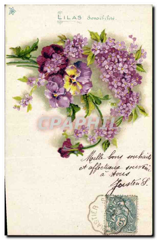 CPA Fantaisie Fleurs Lilas Sensibilite 