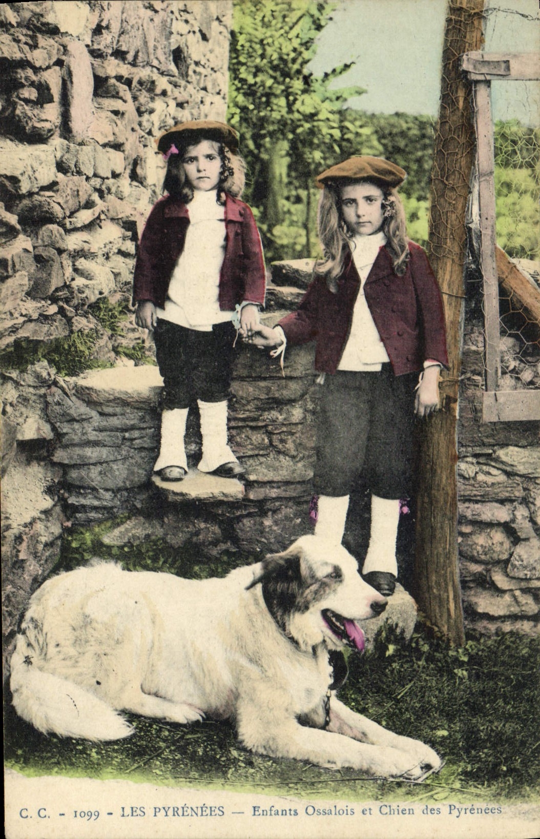 Les Pyrénées — Enfants Ossalais et Chien des Pyrénées — C.C. 1099