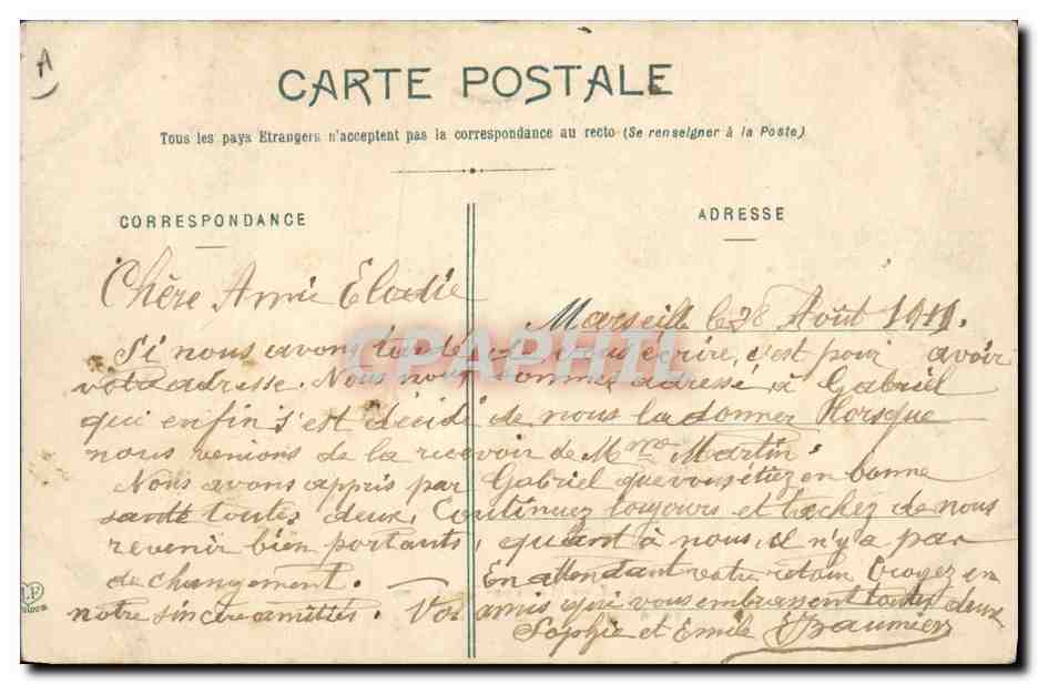 CPA Chiens Jeune Chien des Pyrenees — Verso