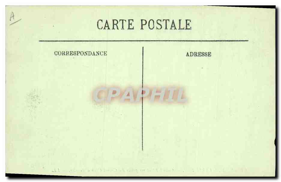 Chiens des Pyrénées — Gazost 1er et ses petits du Chien Club d'Aragné — Verso