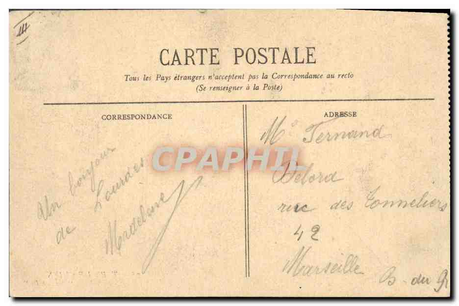 Chien des Pyrénées pur « Gazost Ier » — Élevage du Club des Pyrénées à Argelès — BR 1033 — Reverso
