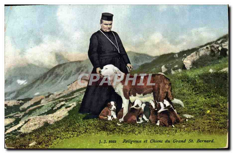 Religieux et Chiens du Grand St. Bernard — J. J. 8922
