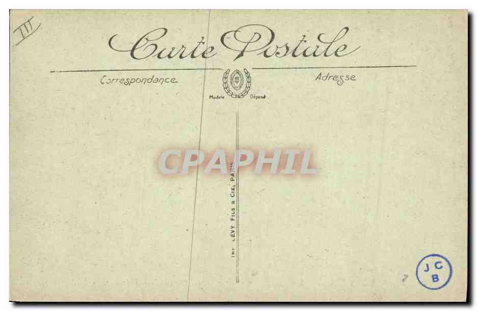 Chiens des Pyrénées — Gazost Ier et ses petits du Chenil-Club d'Argelès — LL. n°49 — Reverso