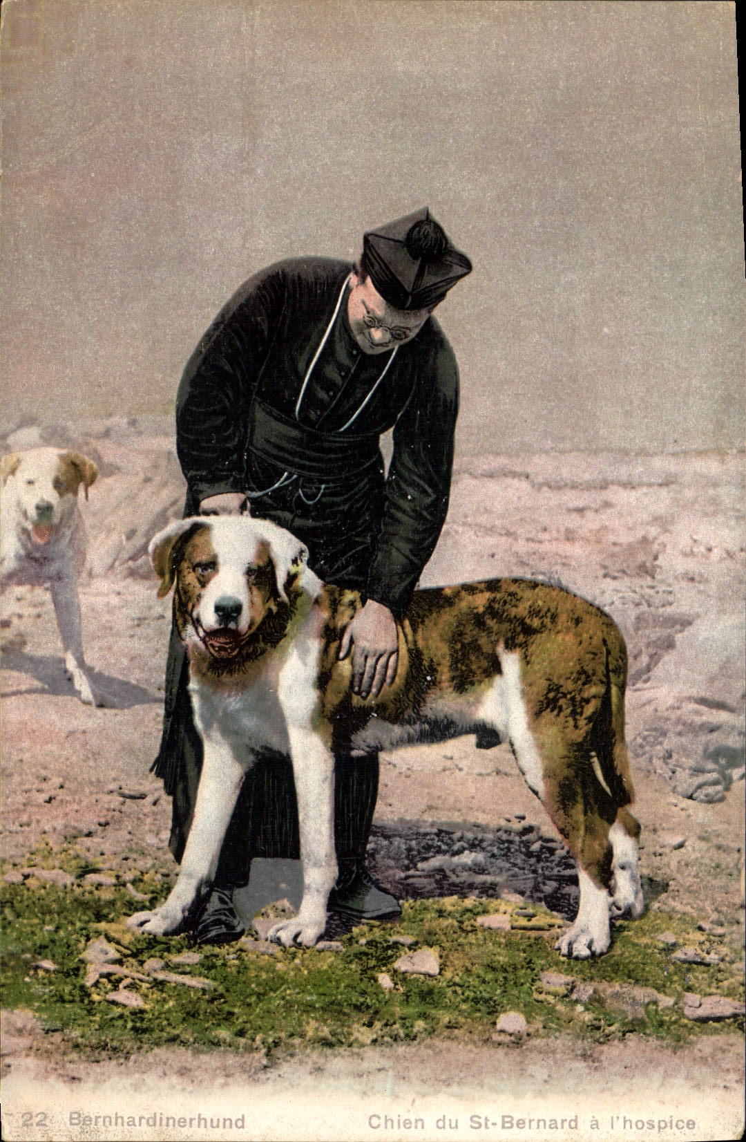 Chien du St-Bernard à l'hospice — Phototypie Co., Neuchâtel — n°22