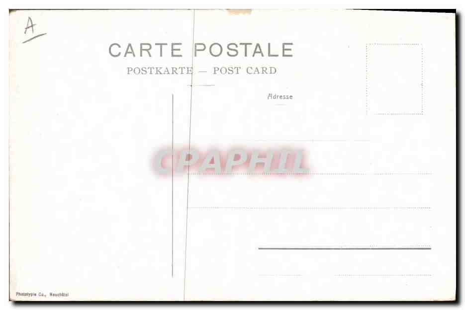 Chien du St-Bernard à l'hospice — Phototypie Co., Neuchâtel — n°22 — Reverso