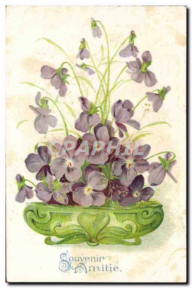 CPA Fantaisie Fleurs 