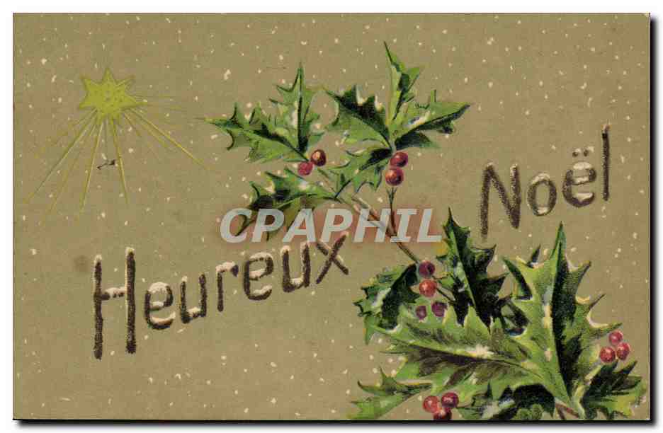 CPA Fantaisie Fleurs Noel 