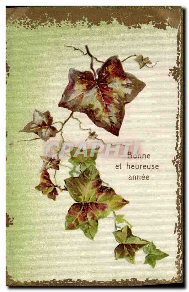 CPA Fantaisie Fleurs 