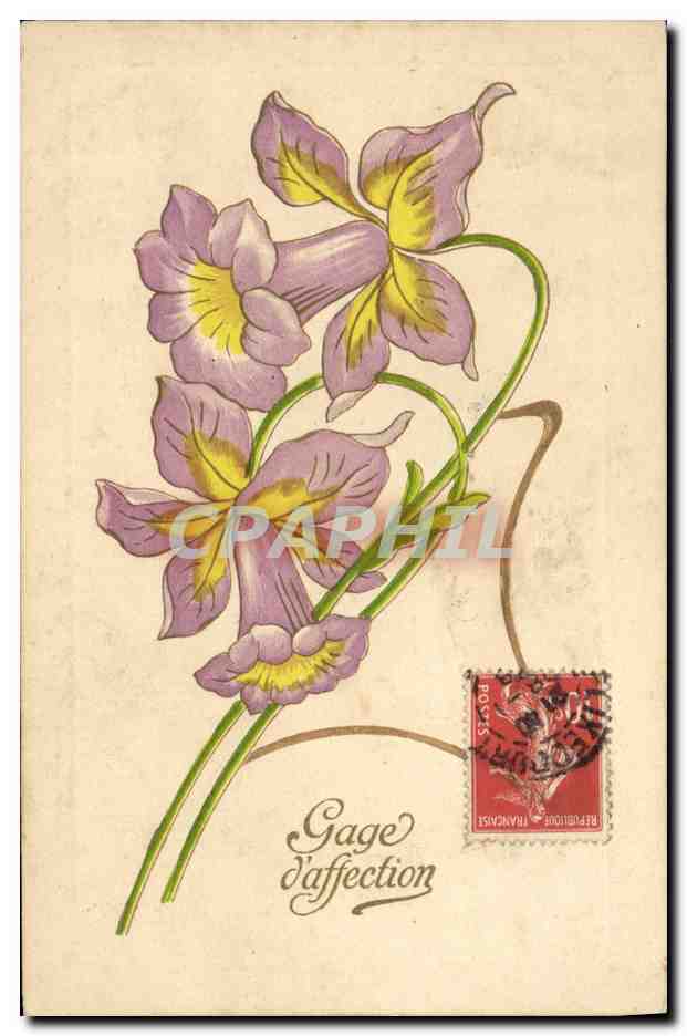 CPA Fantaisie Fleurs 