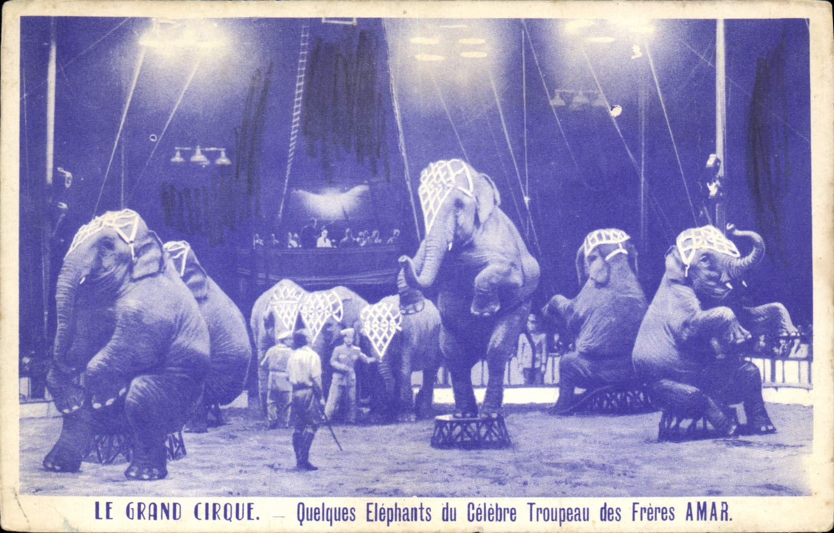 CPA Le grand Cirque Quelques elephants du celebre troupeau des freres Amar Elephant