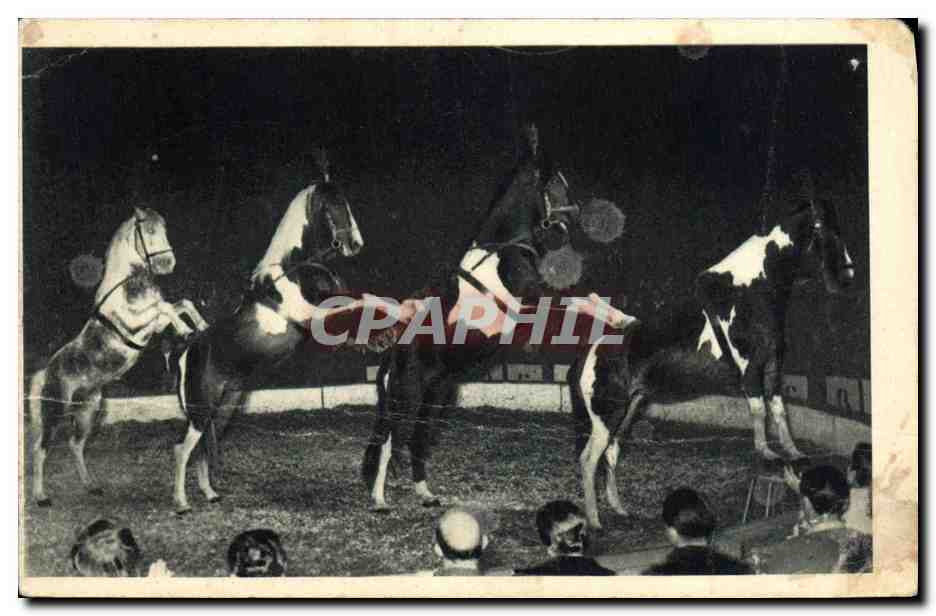 CPA Cirque Radio Circus La pyramide a quatre chevaux Alexis Gruss 
