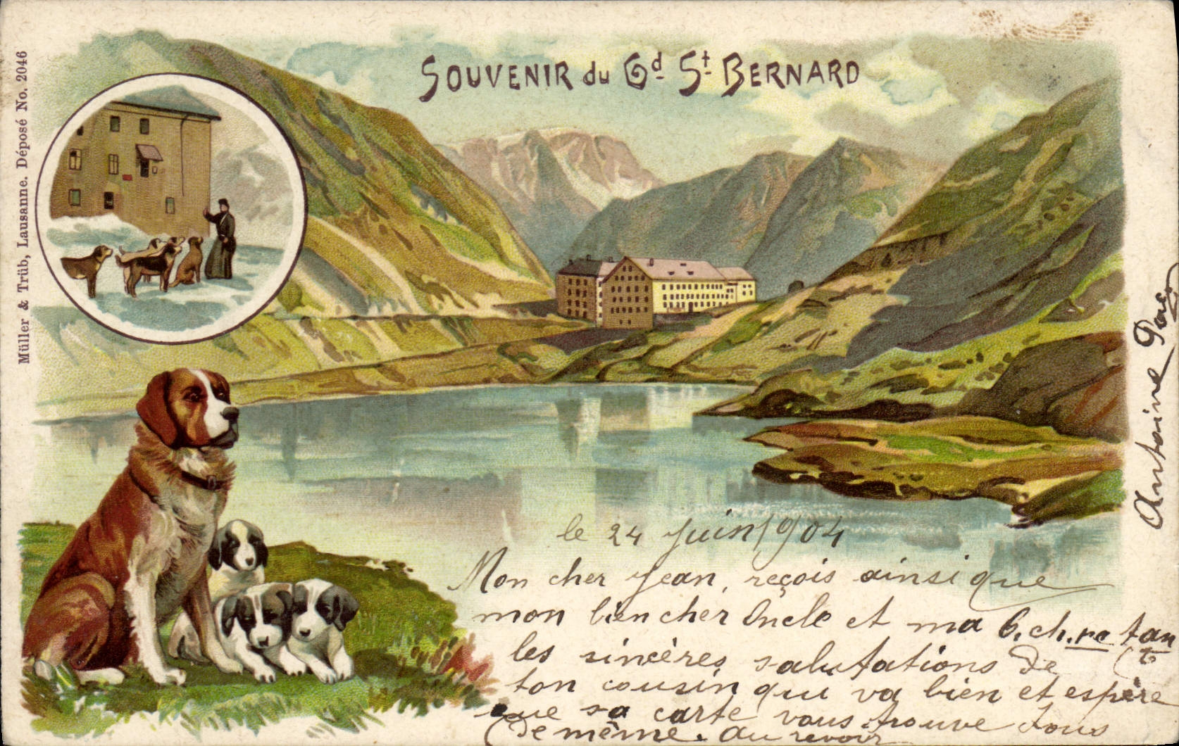 Souverain du Grand St Bernard — Müller & Trübi, Lausanne, No. 2046