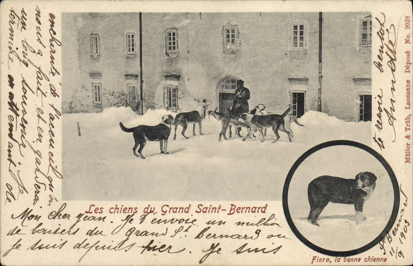 Les chiens du Grand Saint-Bernard — illustration avec portrait de Flora — éditeur Müller & Trüb, Lausanne, n° 2028