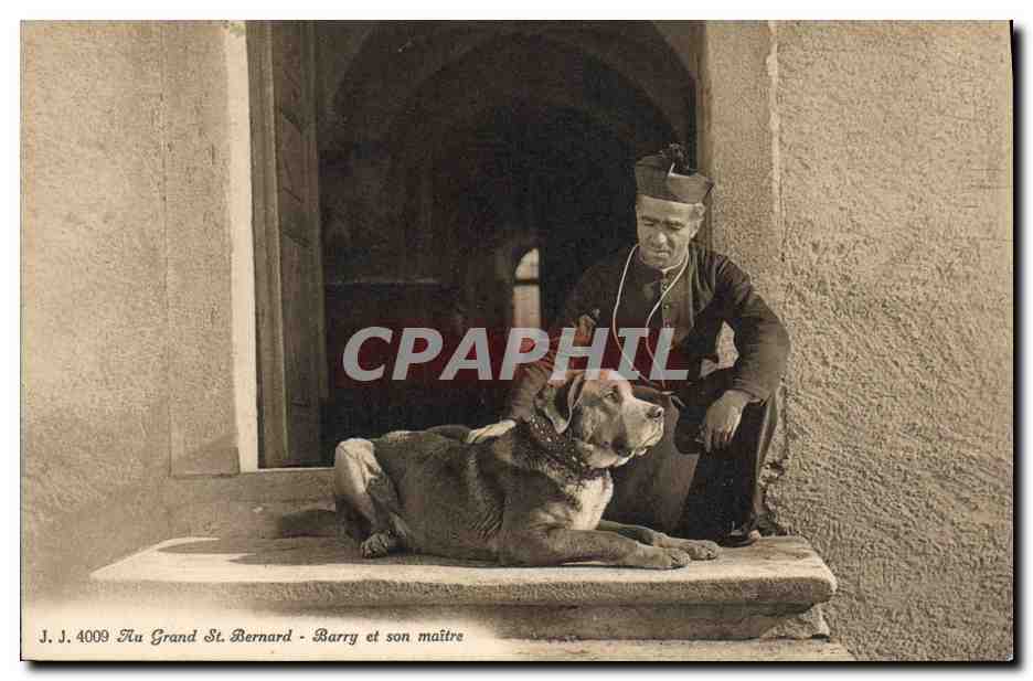 CPA Chien Chiens Au Grand St Bernard Barry et son maitre 