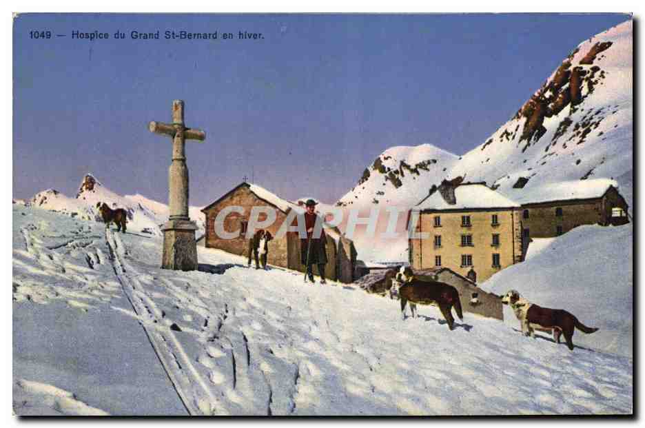 CPA Chien Chiens Hospice du Grand St Bernard en hiver 
