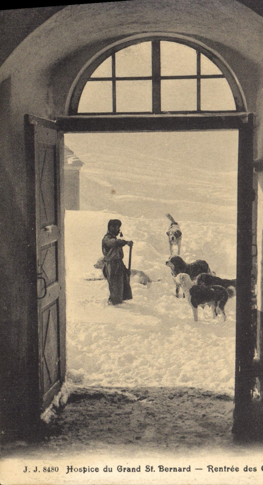 Hospice du Grand St Bernard — Rentrée des Chiens