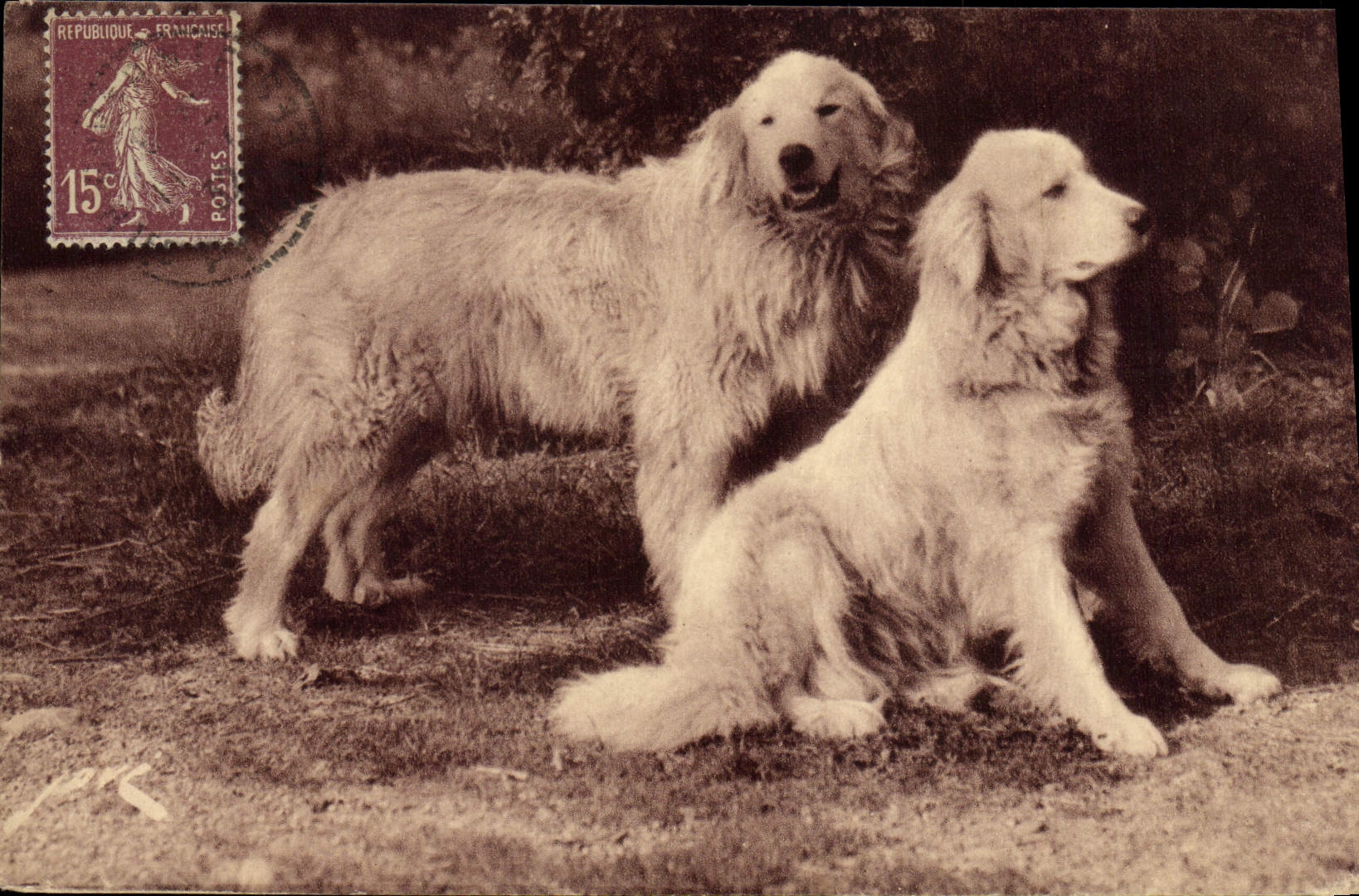 Deux chiens de montagne — Éditions Jové, Pau — N° 66