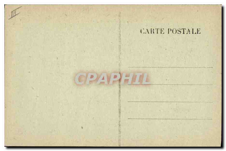 Chiens de Montagne — Types des Pyrénées 6485 — Éditeur non visible — Reverso