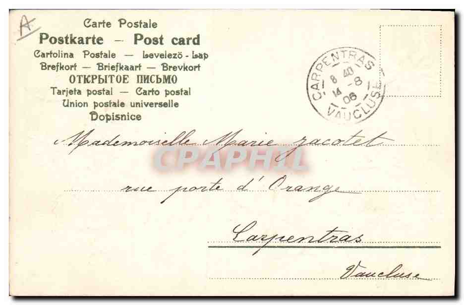 CPA Fantaisie Fleurs Trefles  — Rückseite