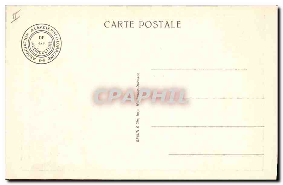 CPA Fantaisie Illustrateur Enfants La chasse Dorette Muller  — Rückseite
