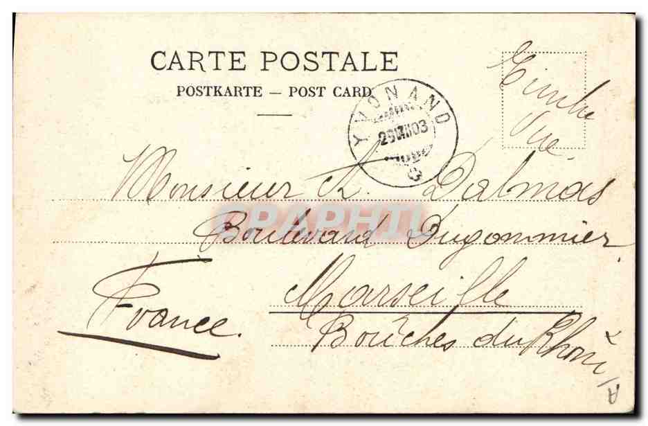 CPA Chien Chiens du Saint Bernard a l'hospice  — Verso