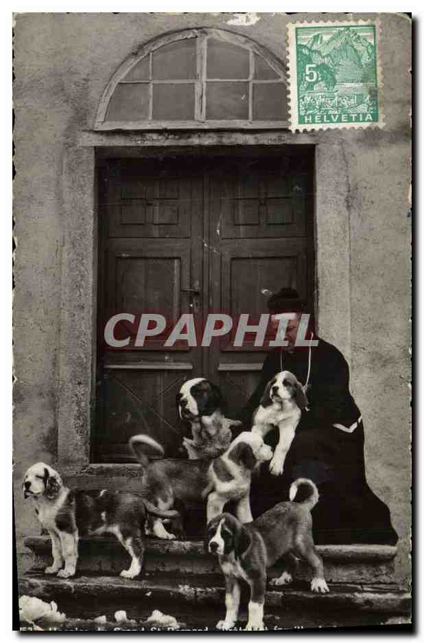 CPA Chien Chiens Hospice du Grand St Bernard Pretre et famille de jeunes chiens 