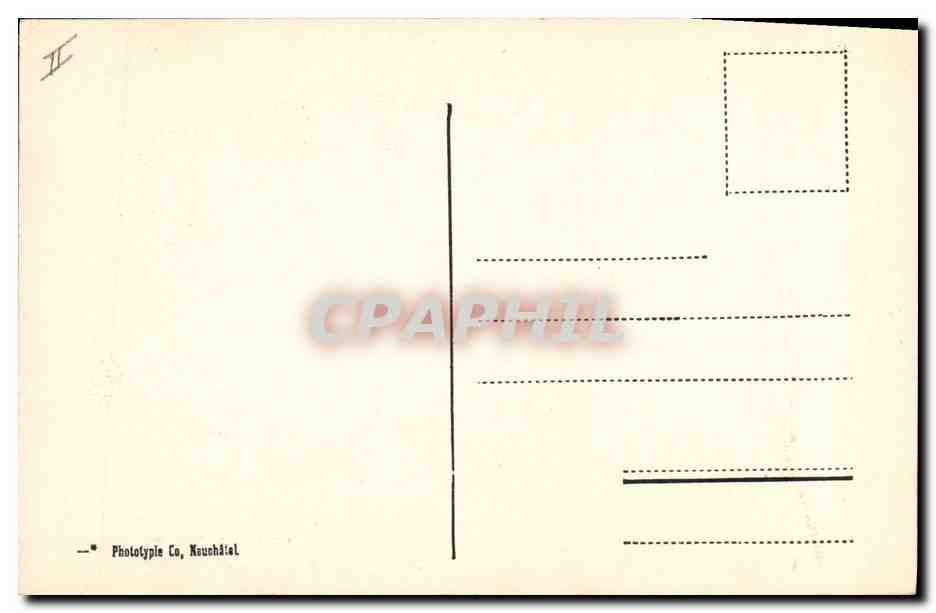 Chiens du St-Bernard — 11801 — Phototype Co, Neuchâtel — Reverso