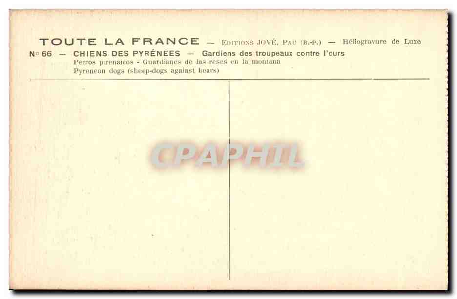 Chiens des Pyrénées — Gardiens des troupeaux contre l'ours — Éditions Jové, Pau (B.P.) — Reverso