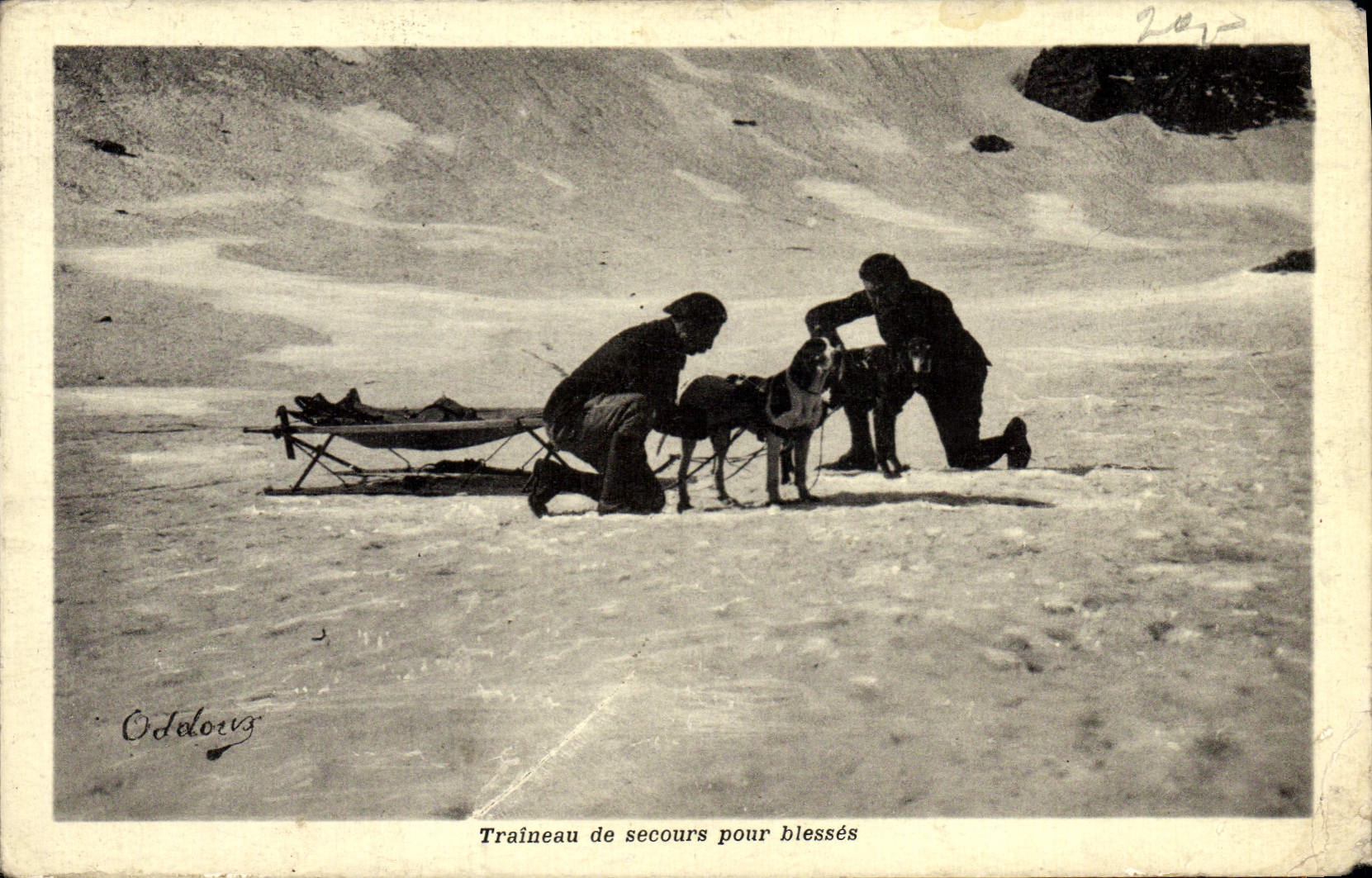CPA Chien Chiens Traineau de secours pour blesses 