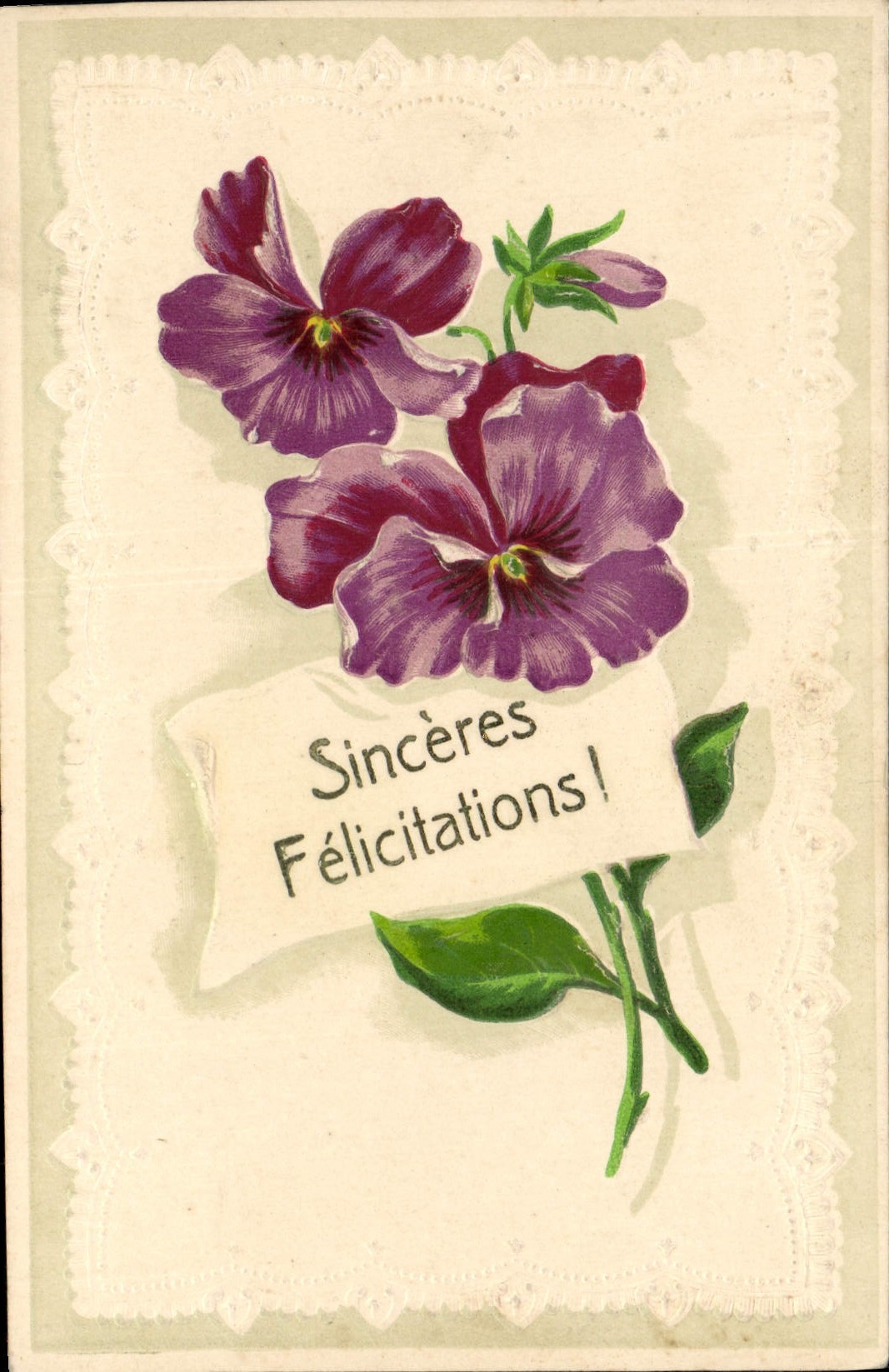 Violettes — Sincères Félicitations ! — Union postale universelle