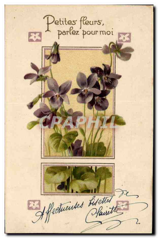 CPA Fantaisie Fleurs 