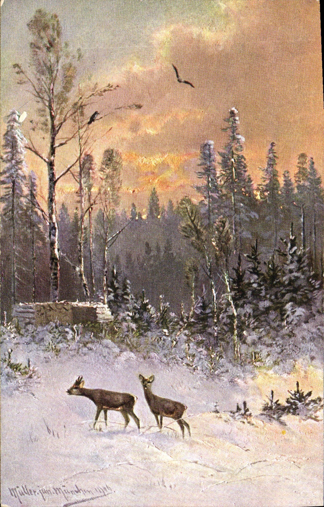 Deux cerfs dans une forêt enneigée — œuvre de Müller von Münden, 1904 — série 419