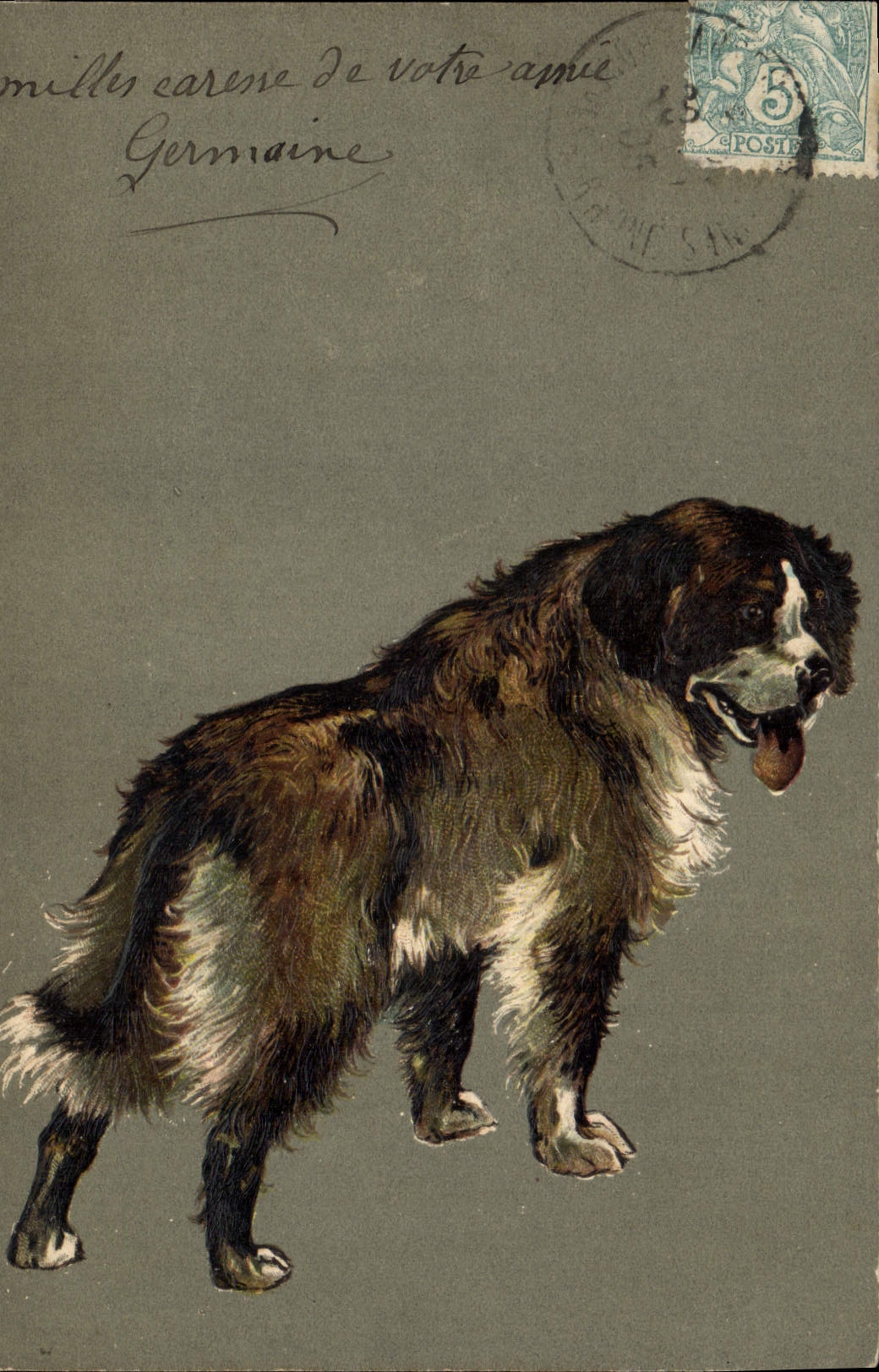 Chien de race Saint-Bernard — illustration — éditeur non visible