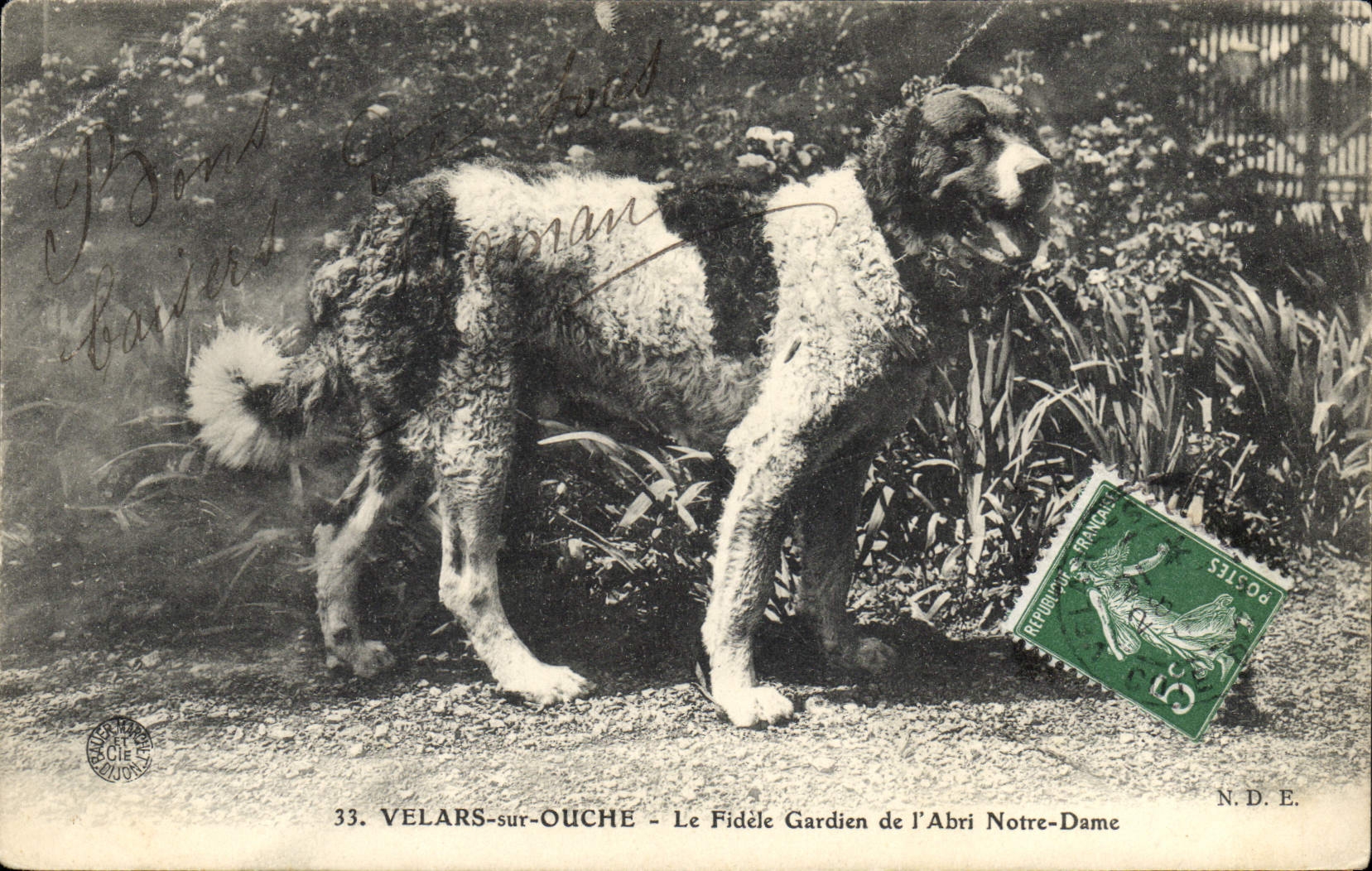 CPA Chien Chiens Velars sur Ouche Le fidele gardien de l'Abri Notre Dame
