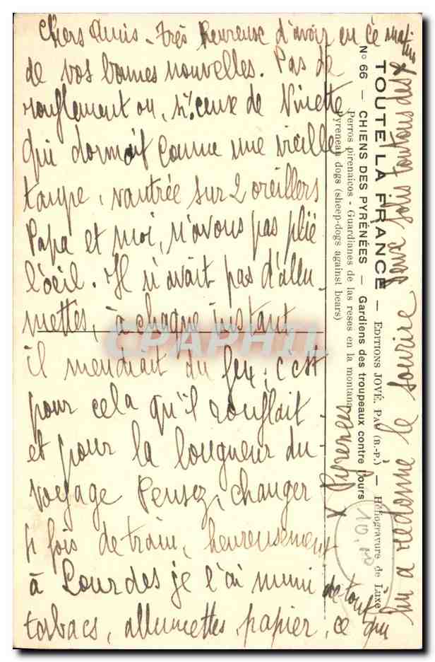 CPA Chien Chiens Gardiens des troupeaux contre l'ours  — Verso