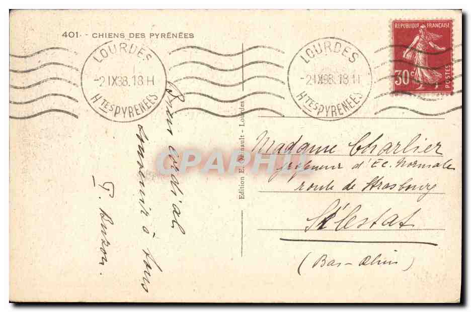 Chiens des Pyrénées — Édition E. Quinault — Lourdes — Reverso