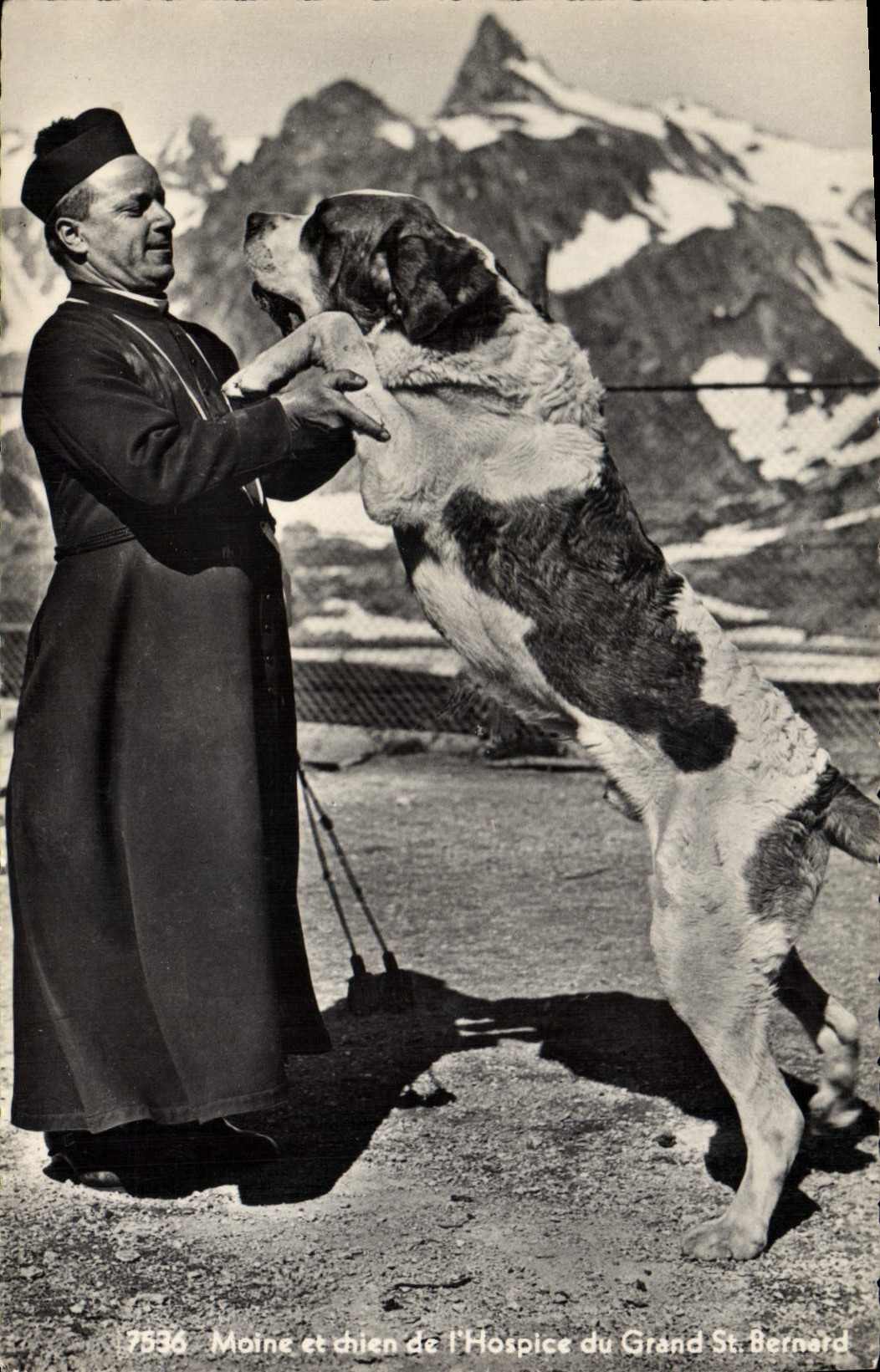 Moine et chien de l'Hospice du Grand St. Bernard — Éditions Jaeger Genève, n° 7536