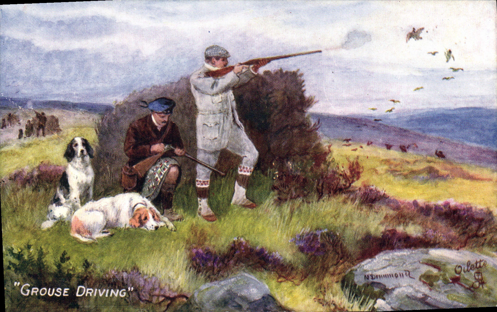 Chasse au Grouse — "Grouse Driving" — Tuck's Post Card n°9272