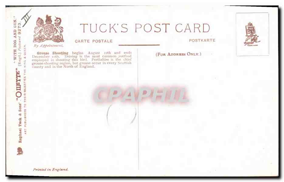 Chasse au Grouse — "Grouse Driving" — Tuck's Post Card n°9272 — Reverso